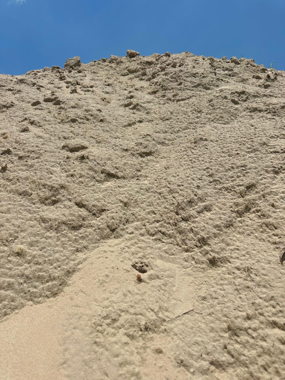 Fill Sand
