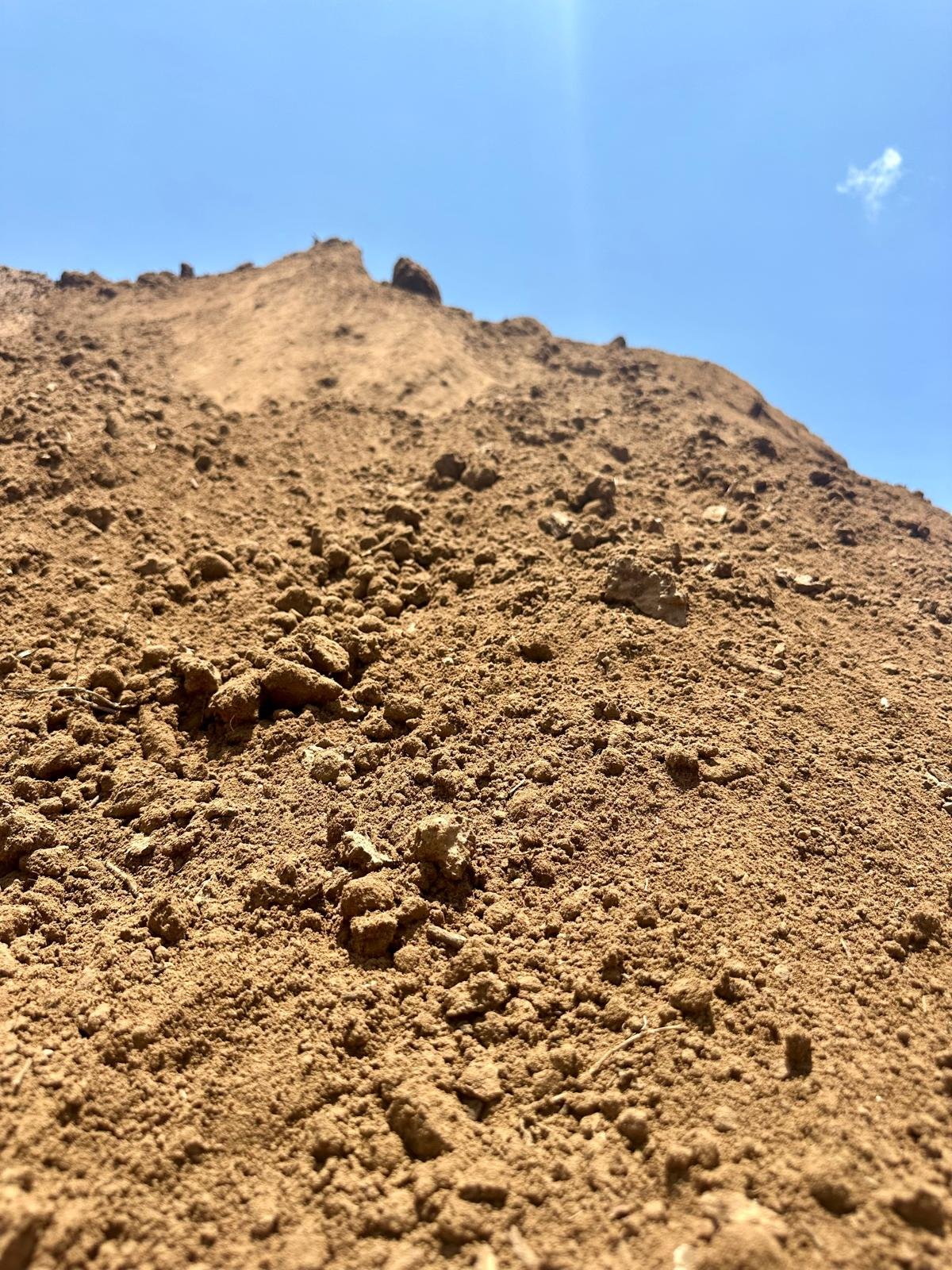 Sandy Loam