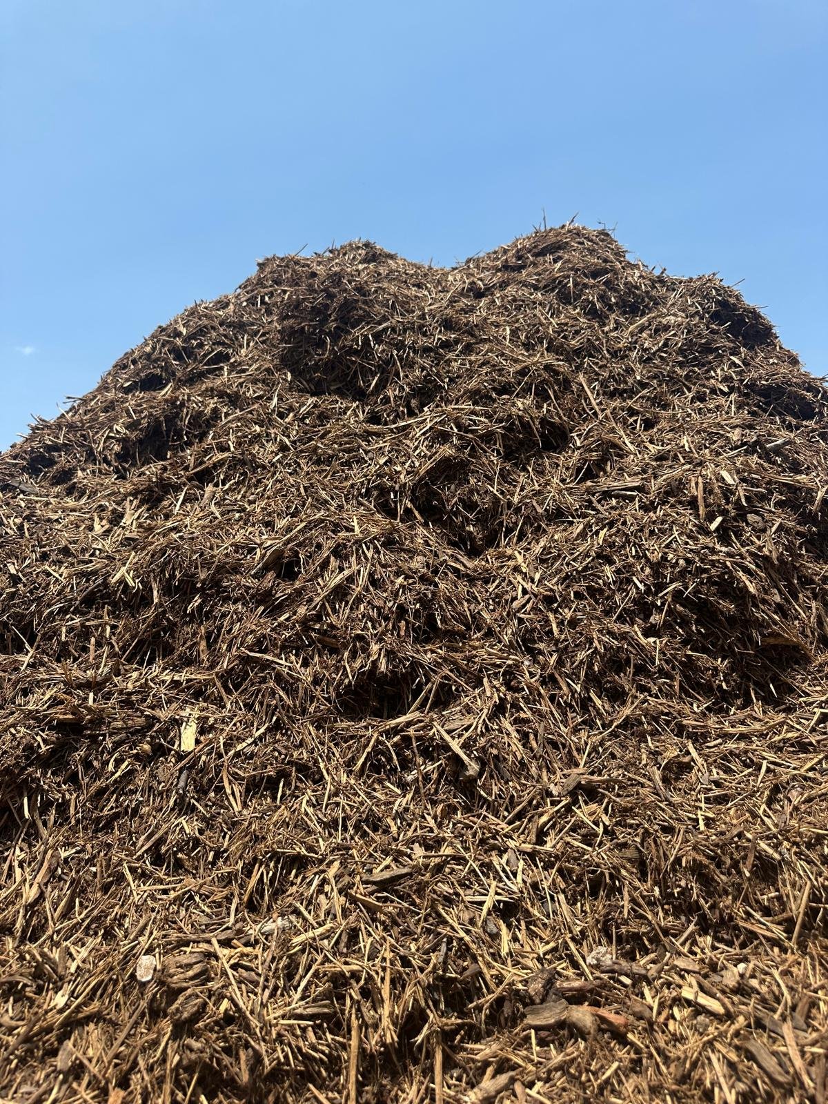 Cedar Mulch