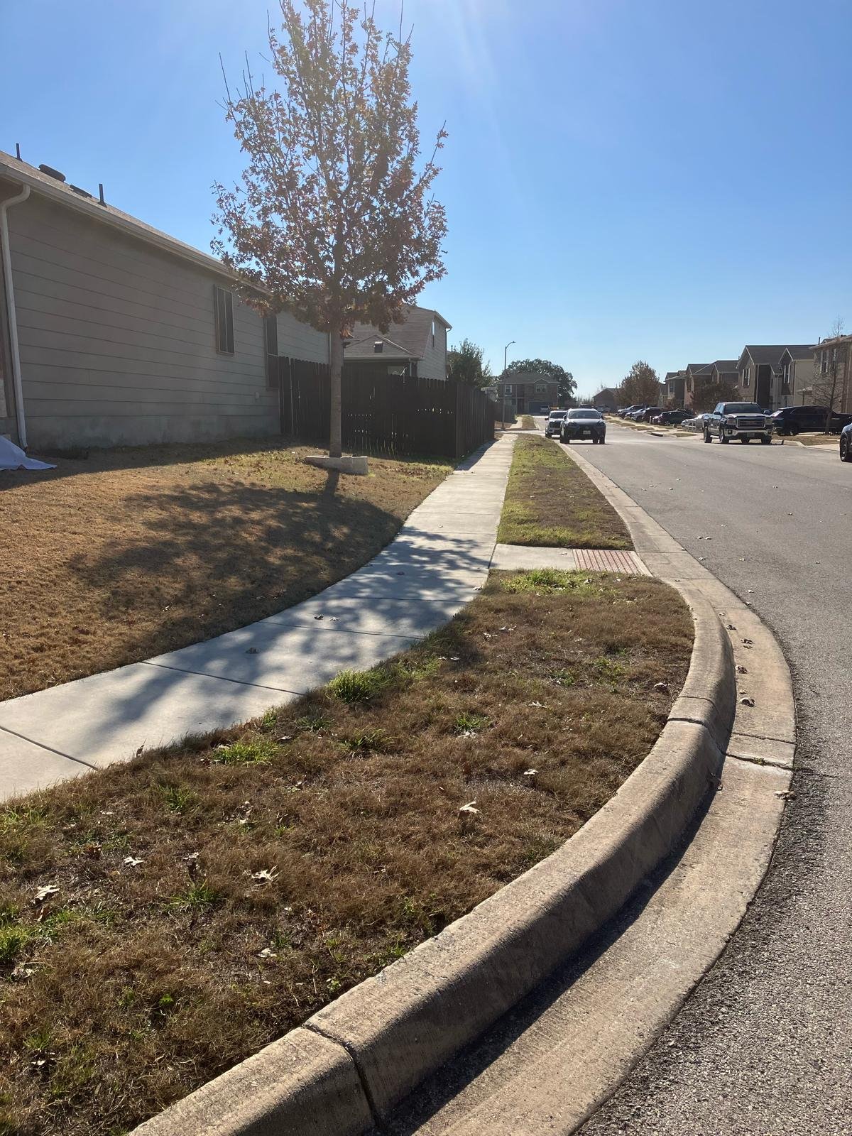 Before xeriscaping — original grass strip